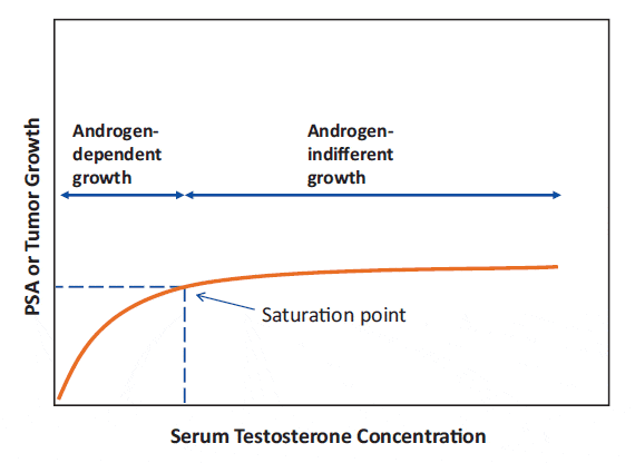 testosterone-prostate-saturation-model