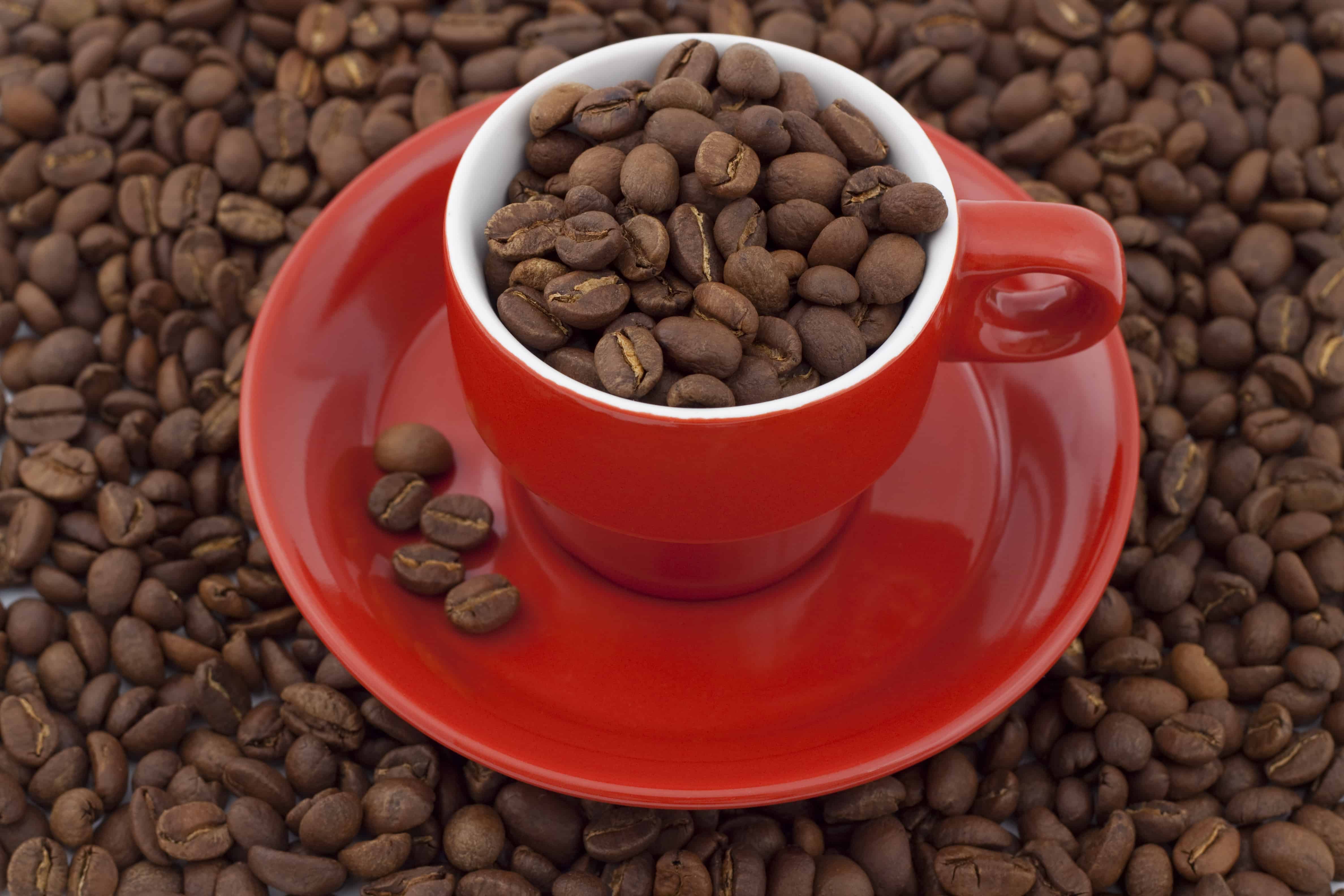 red cuffee cup full of coffee beans on a mountain of coffee beans
