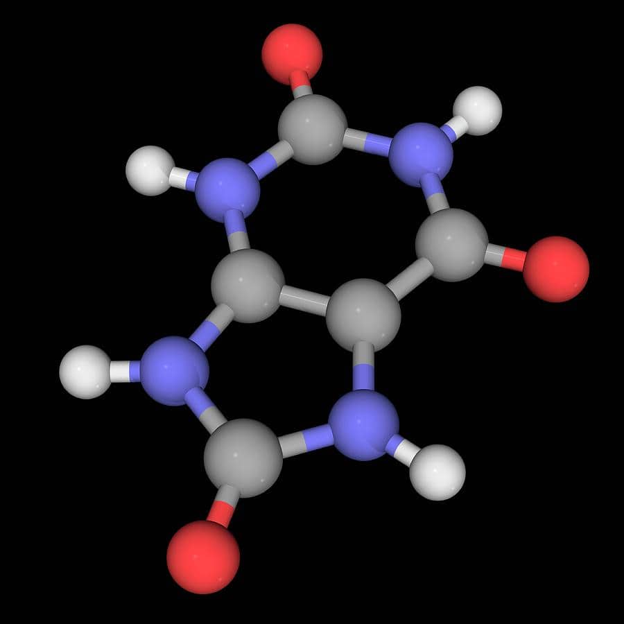 picture of uric acid