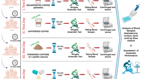 Coffee: Cortisol, Testosterone, Lactic Acid and Anaerobic Performance