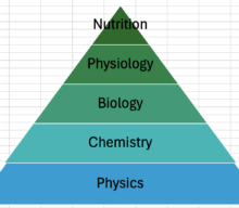“Calories In/Calories Out” Fact or Scam?
