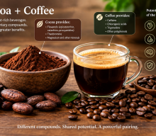 Cocoa + Coffee, Synergism or Additive Benefits?