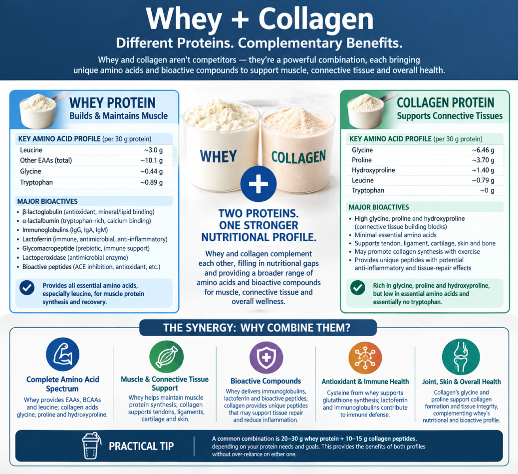 Graphic showing benefits of combining whey and collagen
